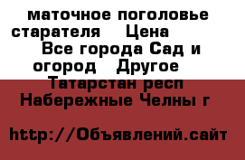 маточное поголовье старателя  › Цена ­ 3 700 - Все города Сад и огород » Другое   . Татарстан респ.,Набережные Челны г.